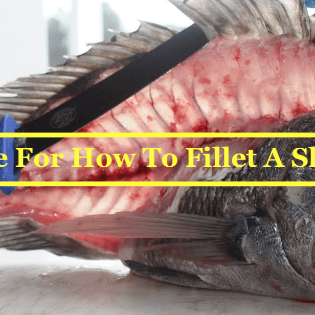 Best Guide For How To Fillet A Sheepshead