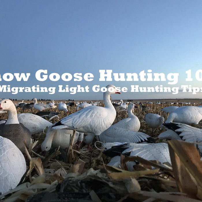 Snow Goose Hunting 101: Migrating Light Goose Hunting Tips