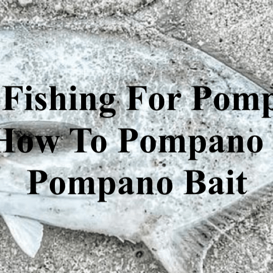 Surf Fishing For Pompano: Guide For How To Pompano Fish & Best Pompano Bait