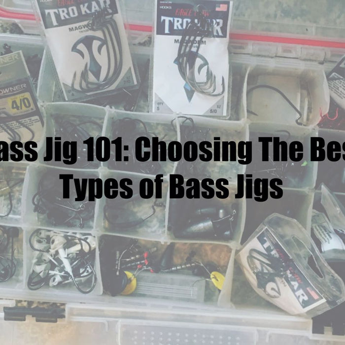 Bass Jig 101: Choosing The Best Types of Bass Jigs
