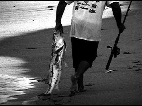 How To Catch Trophy Snook