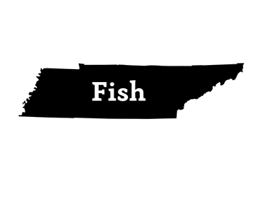 Fish Tennessee Decal - Hunting and Fishing Depot