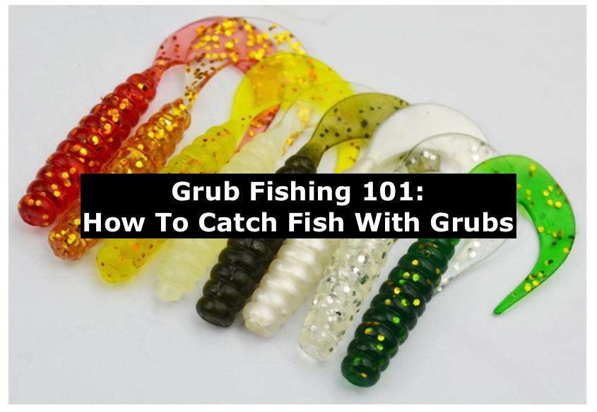The Grub Hub: Grub Fishing 101 On How To Use Grubs For Days