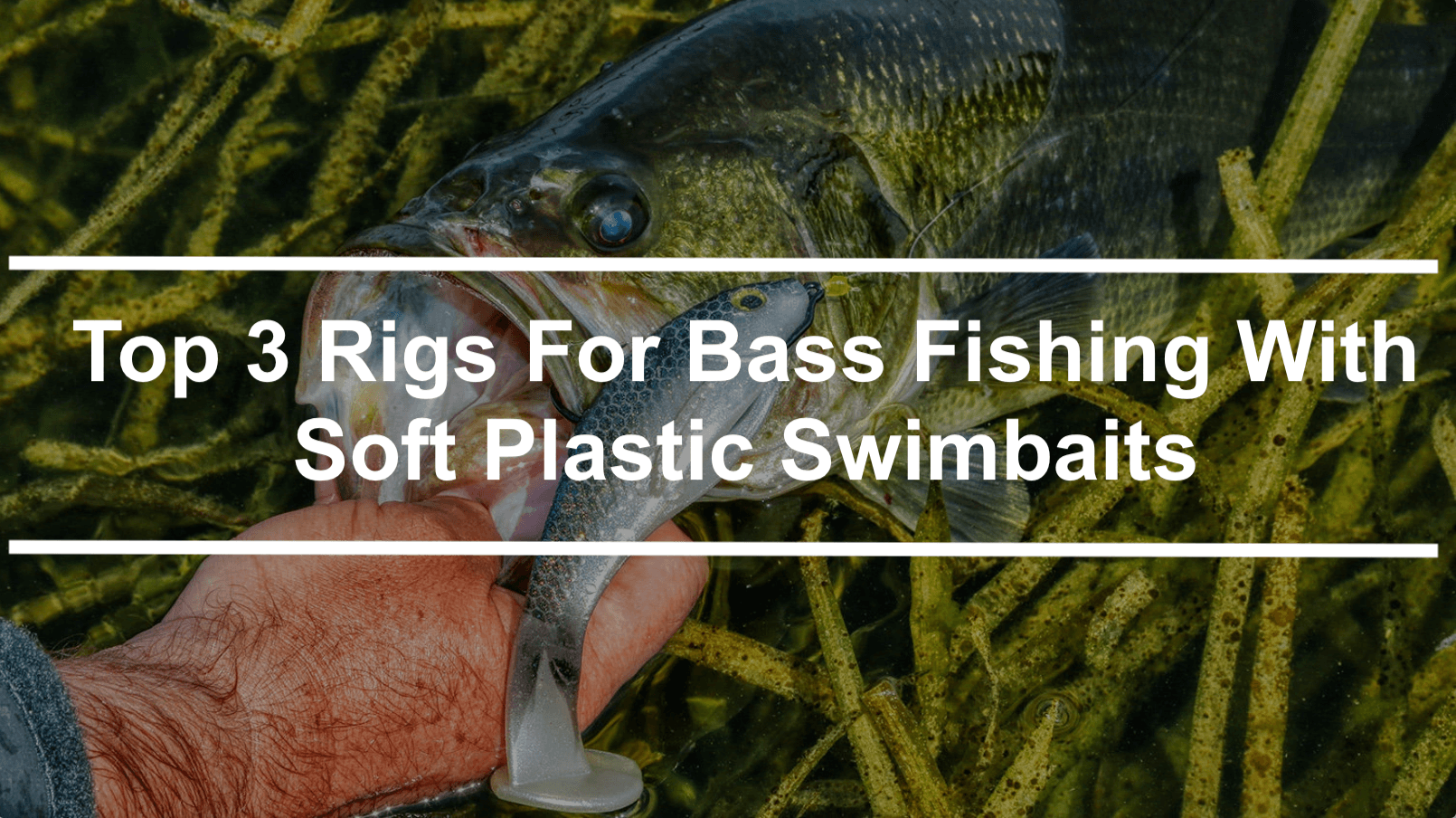 Top 3 Rigs For Bass Fishing With Soft Plastic Swimbaits