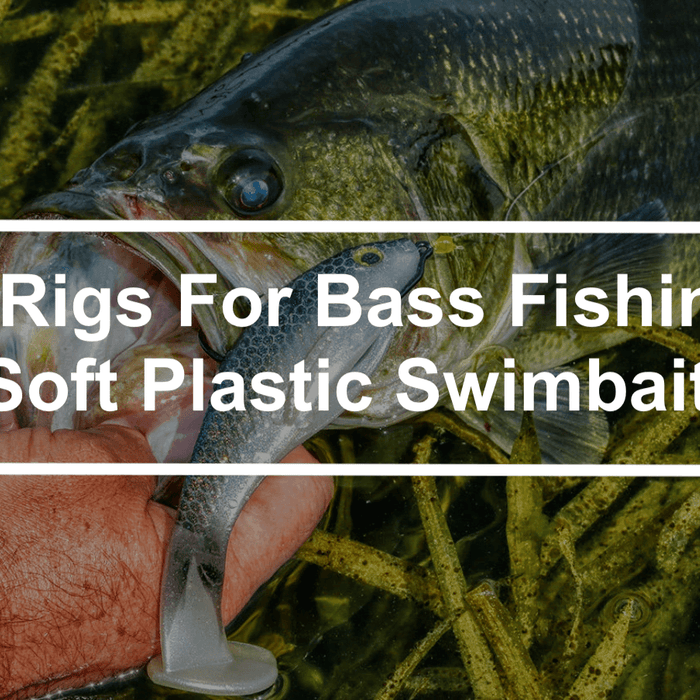 Top 3 Rigs For Bass Fishing With Soft Plastic Swimbaits