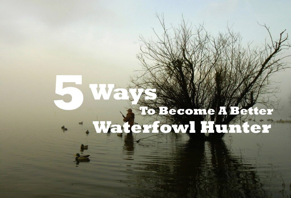 5 Ways to become a better waterfowl hunter