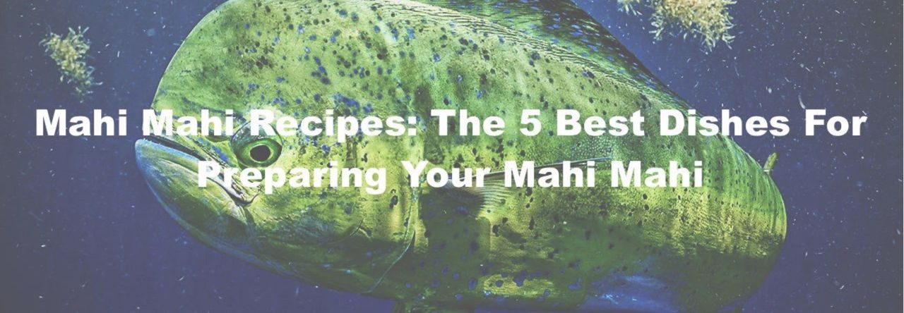 5 Best Mahi Mahi Recipes