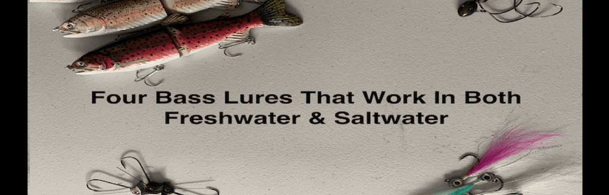 4 Crossover Bass Lures That Work In Both Freshwater & Saltwater