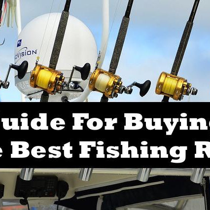 Guide For Buying The Best Fishing Reel