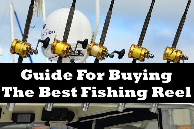 Guide For Buying The Best Fishing Reel