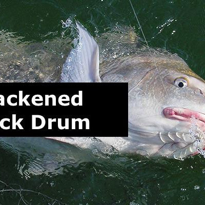 Blackened Black Drum | Hunting and Fishing Depot