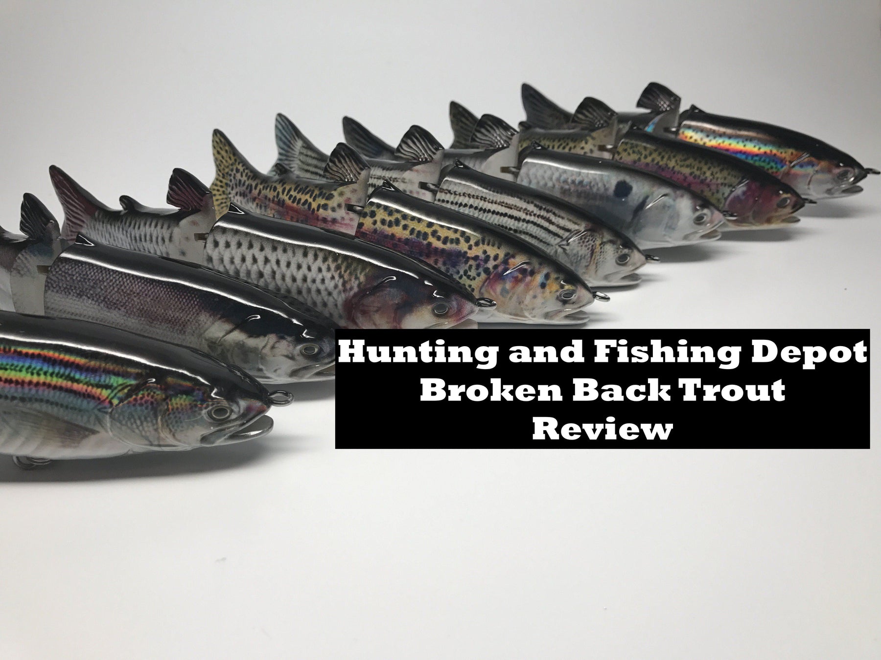 Broken Back Trout Lineup Cover Photo