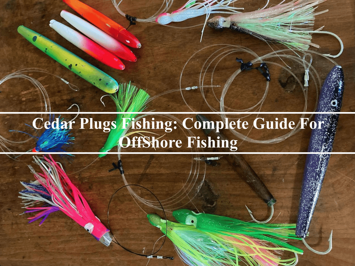 cedar vs balsa fish lures Lead Masters Plug Size 4 Saltwater Trolling Blue White the green 4 plug shown below slayed em while the unpainted jig did not BLUEWING 4in Cedar Plug Fishing