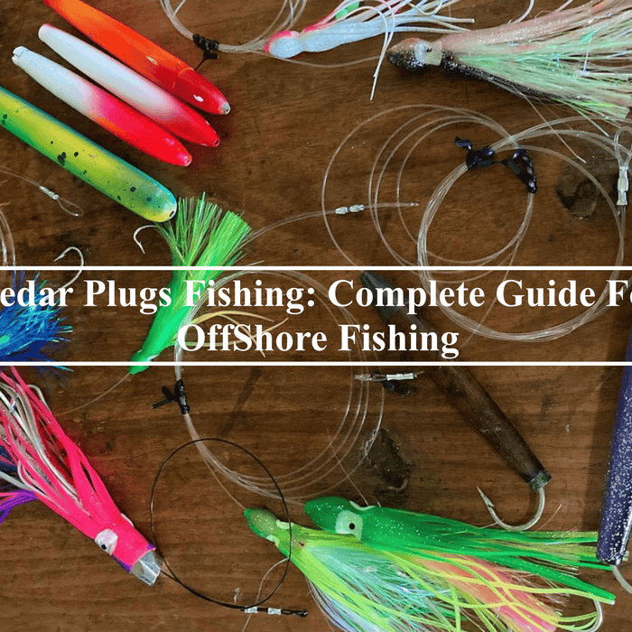 Cedar Plugs Fishing: Complete Guide For OffShore Fishing