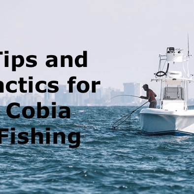 Cobia Fishing: Tips and Tricks for the everyday fisherman