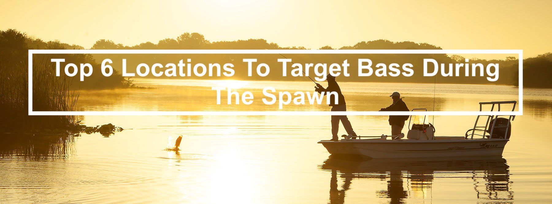 Top 6 Locations To Target Bass During The Spawn