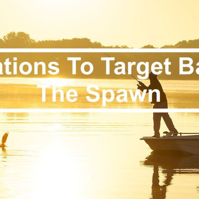 Top 6 Locations To Target Bass During The Spawn
