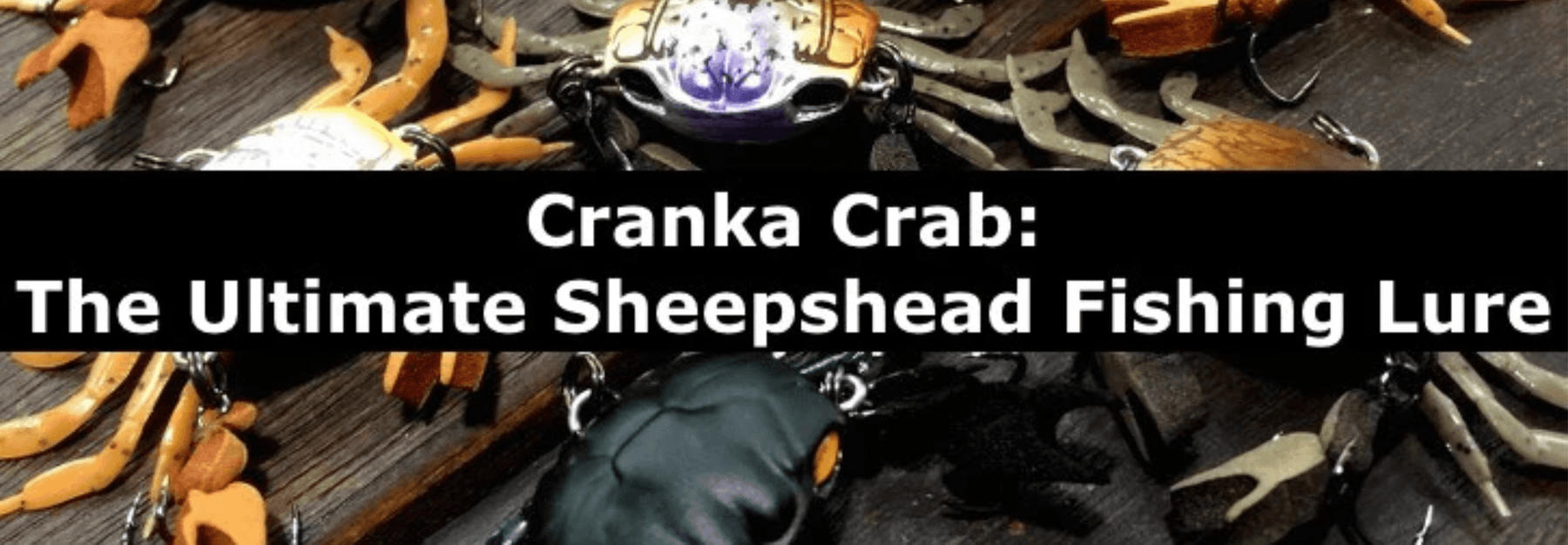 Cranka Crab - The Ultimate Sheepshead Fishing Lure