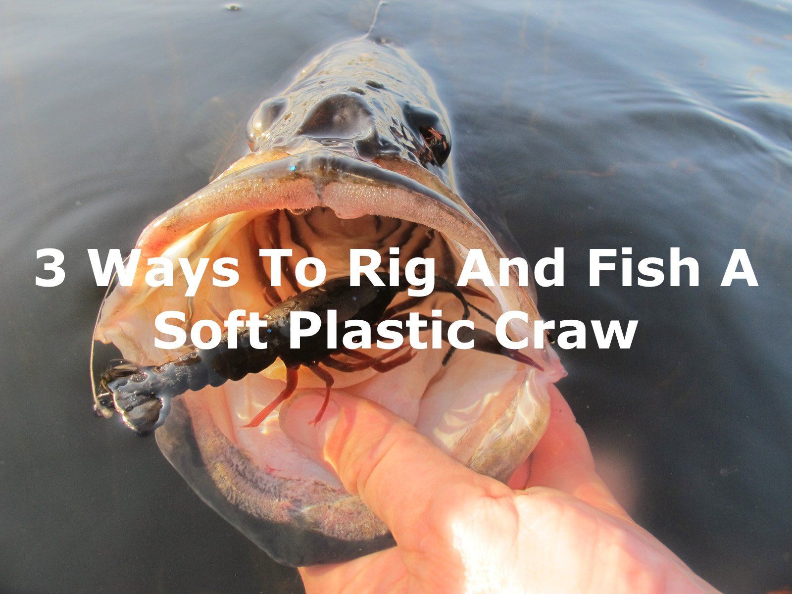 3 Ways To Rig And Fish A Soft Plastic Craw