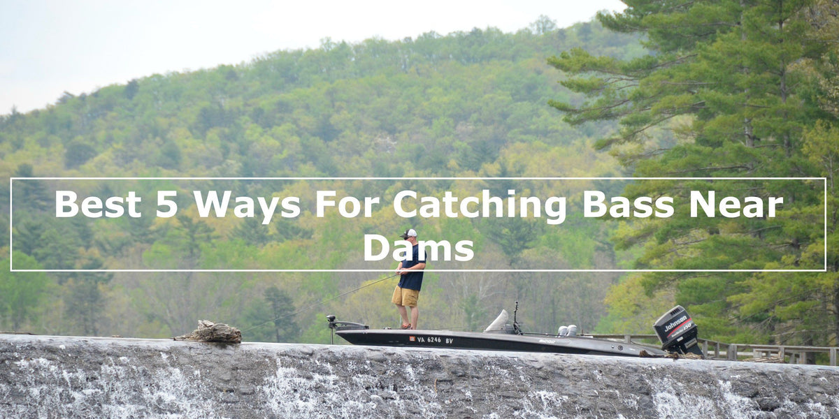 Best 5 Ways For Catching Bass While Dam Fishing– Hunting and