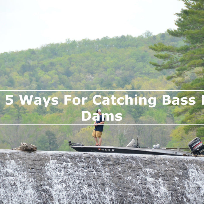 Best 5 Ways For Catching Bass Near Dams