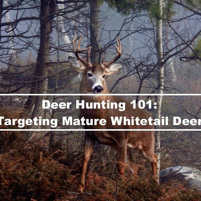 Deer Hunting 101: Targeting Mature Whitetail Deer