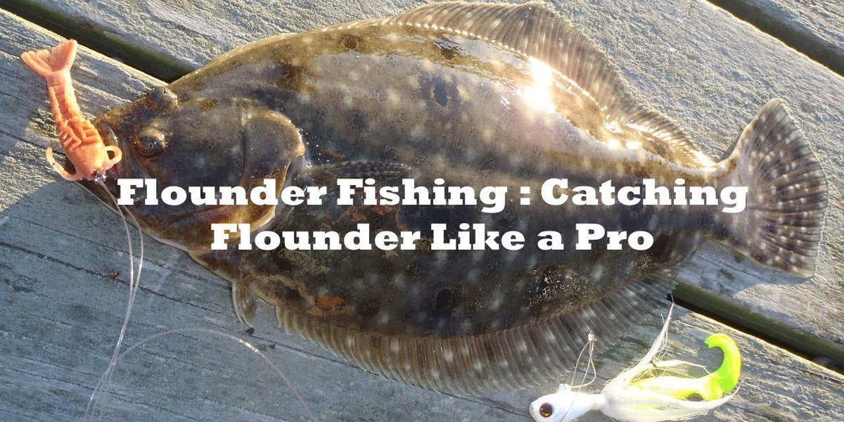 Flounder Fishing: How To Catch Flounder Like A Pro– Hunting and Fishing  Depot