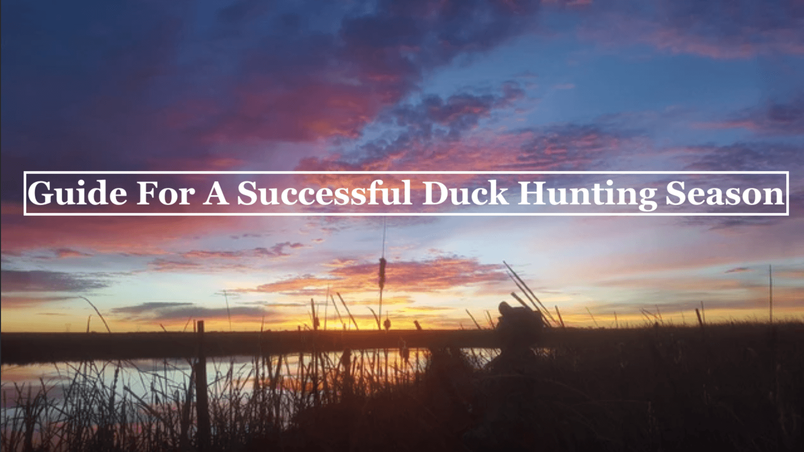 Guide For A Successful Duck Hunting Season