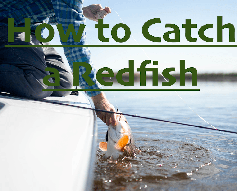 How to Catch a Redfish