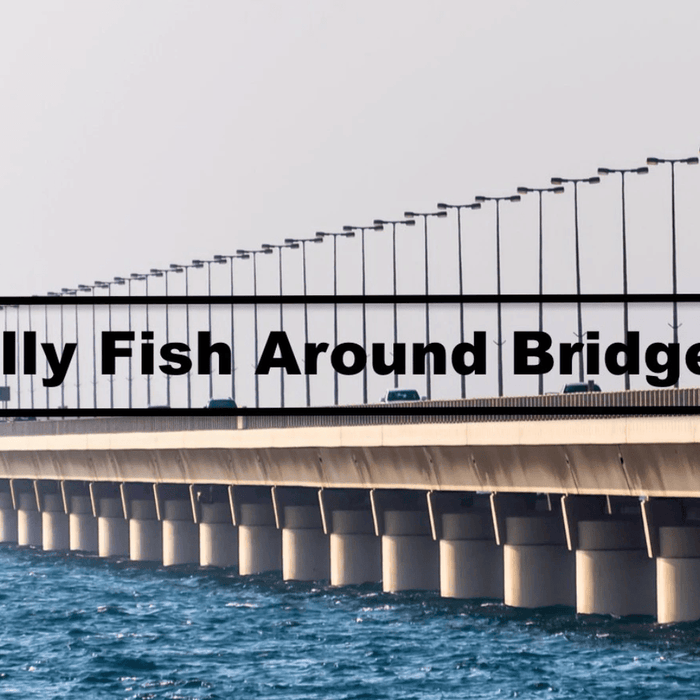 How to Fish Around Bridges For Sheepshead