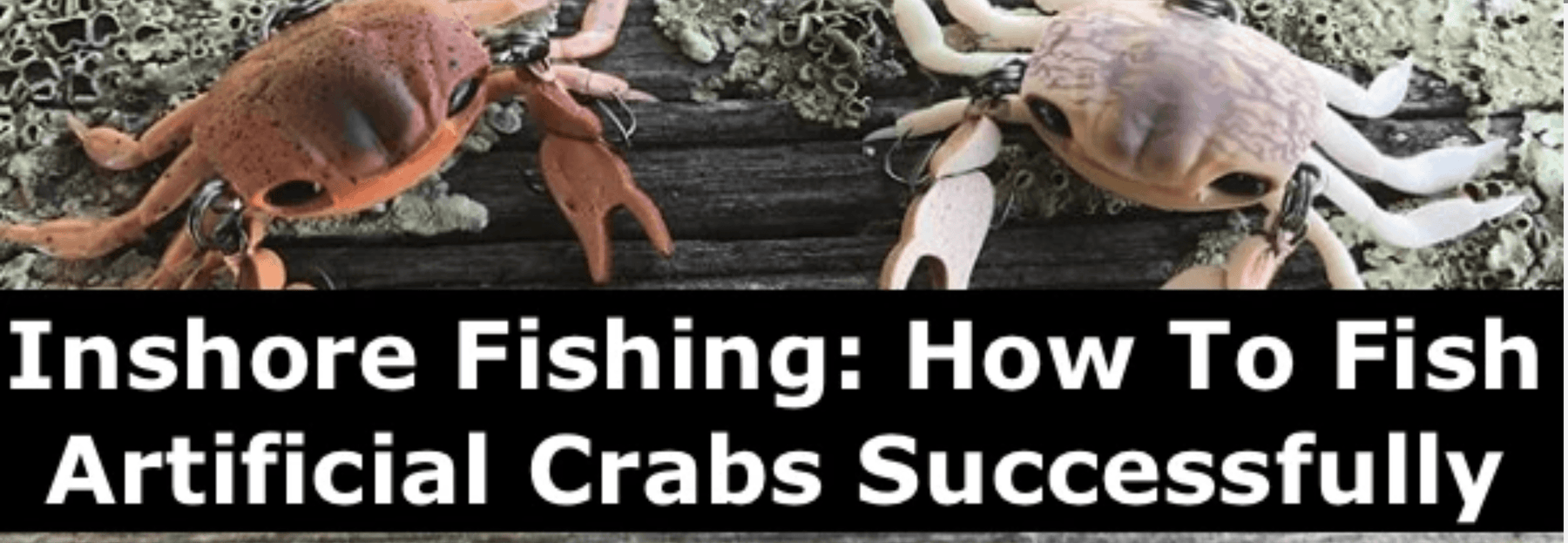 Inshore Fishing - How to Fish Artificial Crabs Successfully