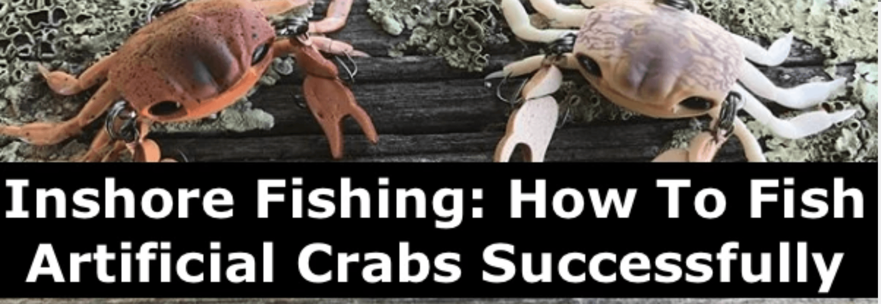 Inshore Fishing: How To Fish Artificial Crabs Successfully — Hunting ...