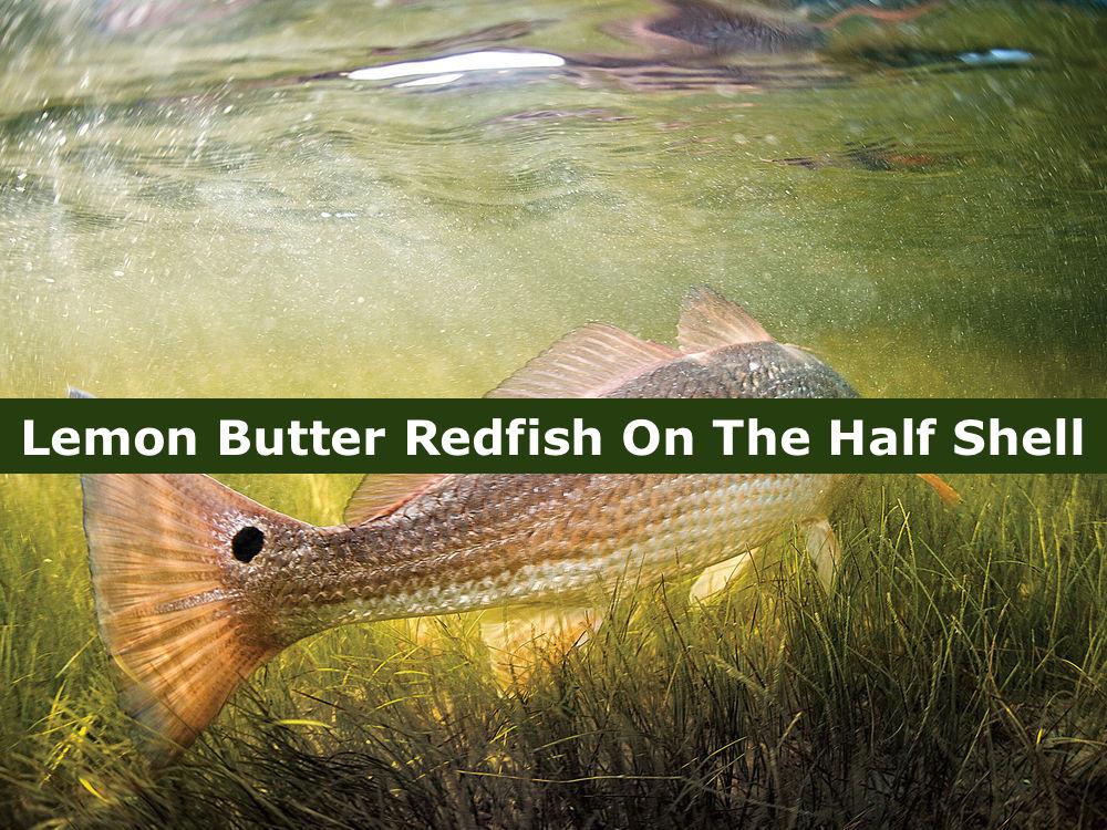 Lemon Butter Redfish On The Half Shell