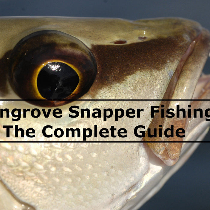 Mangrove Snapper Fishing: Thre Complete Guide