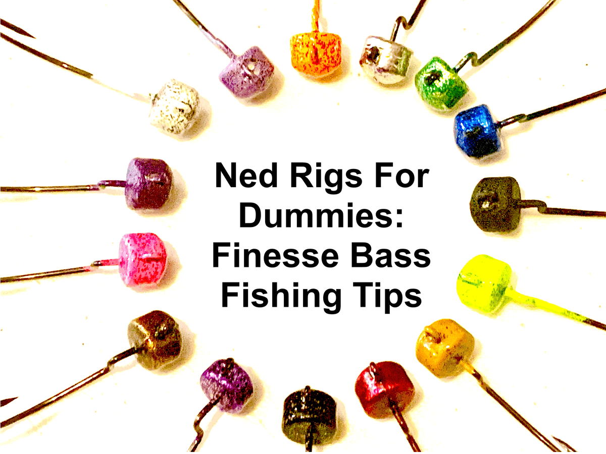 Ned Rigs For Dummies: Finesse Bass Fishing Tips– Hunting and Fishing Depot