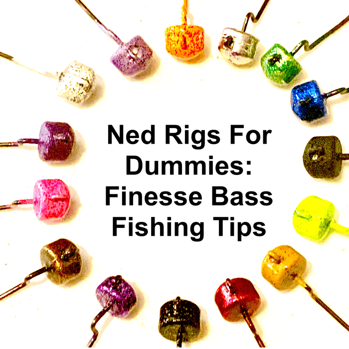 Ned Rigs For Dummies: Finesse Bass Fishing Tips
