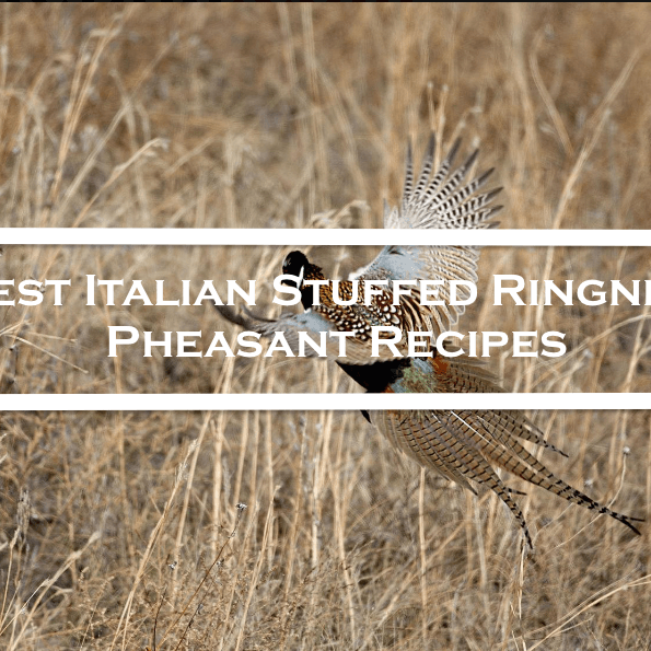 Best Italian Stuffed Ringneck Pheasant Recipes (Photo Credit: Mark Davis)