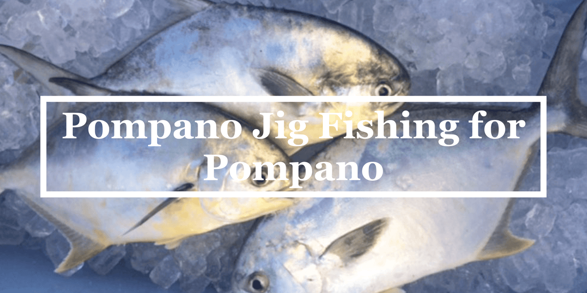 10 Jig Wacky 1/4 Oz Per Pompano - Esche Da Pesca Per Sgombro E Pesce Azzurro - T&A JIGS - Foto 2