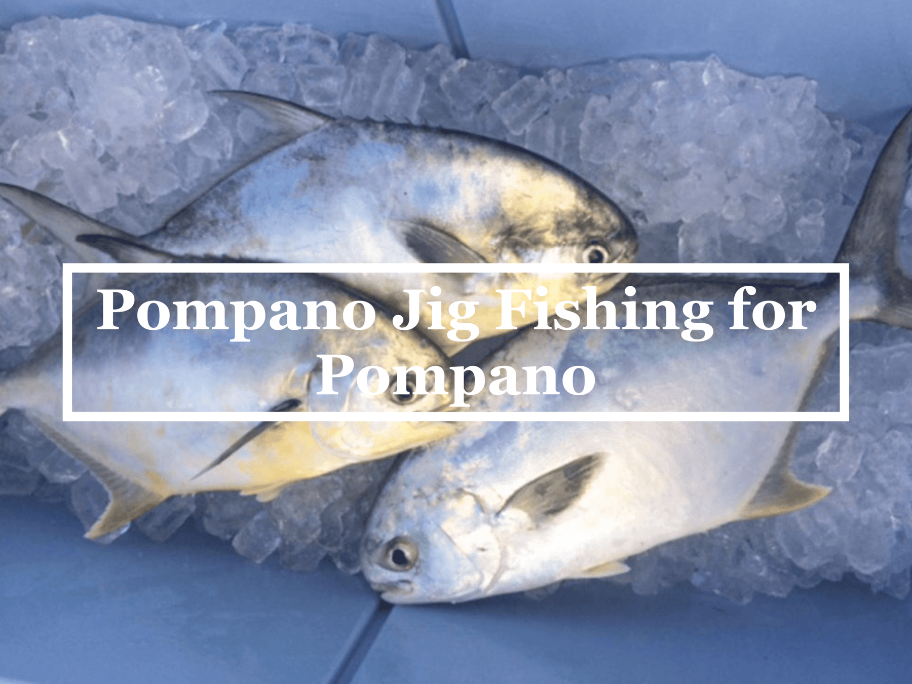 Pompano Jig Fishing for pompano