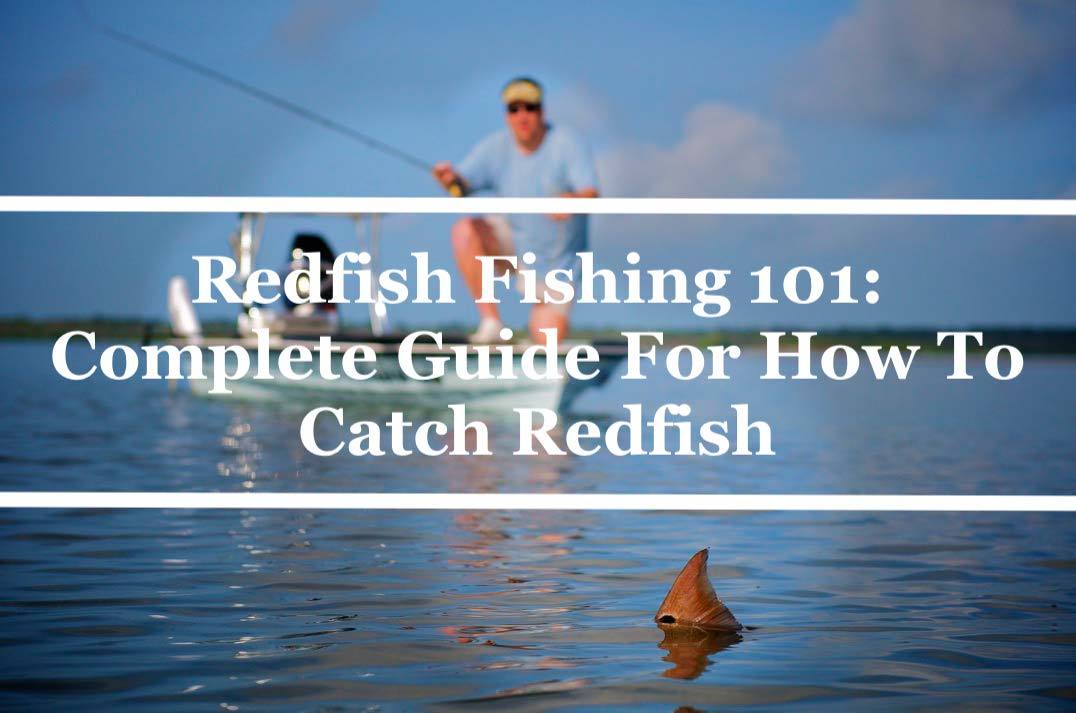 Redfish Fishing 101: Complete Guide For How To Catch Redfish