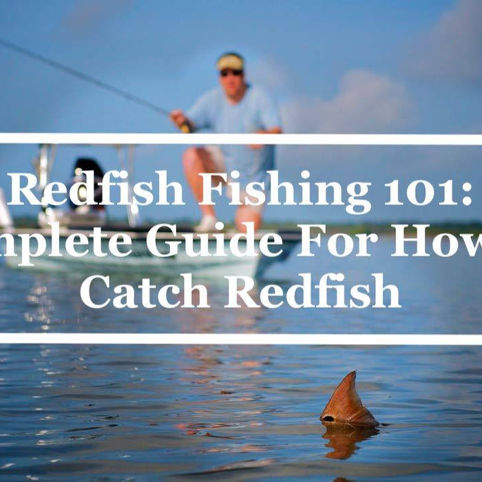 Redfish Fishing 101: Complete Guide For How To Catch Redfish