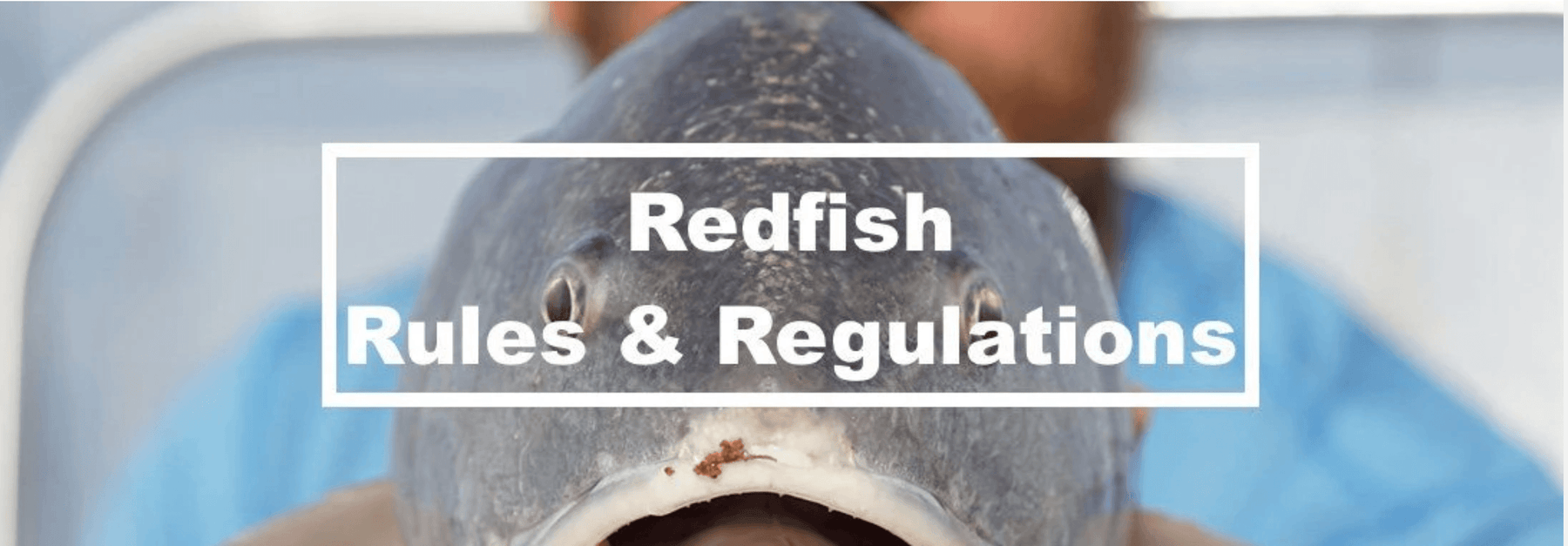 Redfish Regulations and Rules