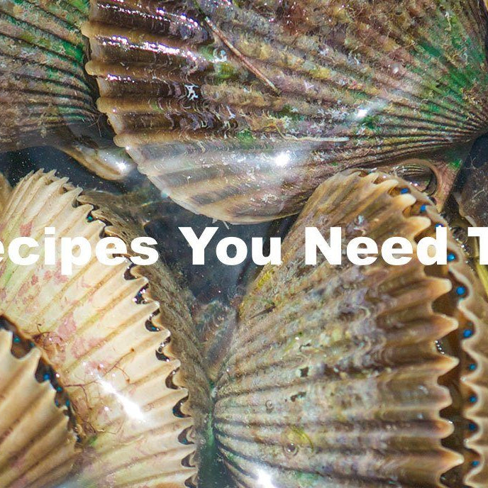 5 Scallop Recipes You Need To Be Making