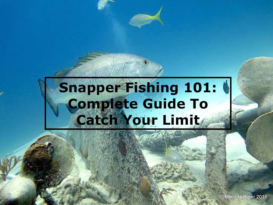 Snapper Fishing 101: Complete Guide To Catching Your Limit