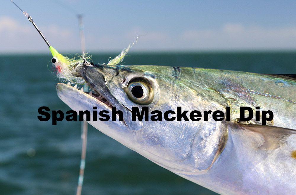 Spanish Mackerel Dip