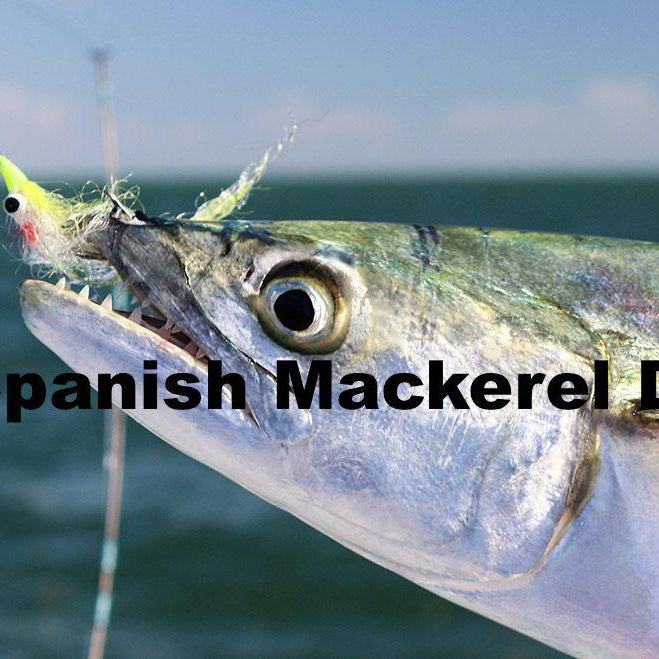 Spanish Mackerel Dip