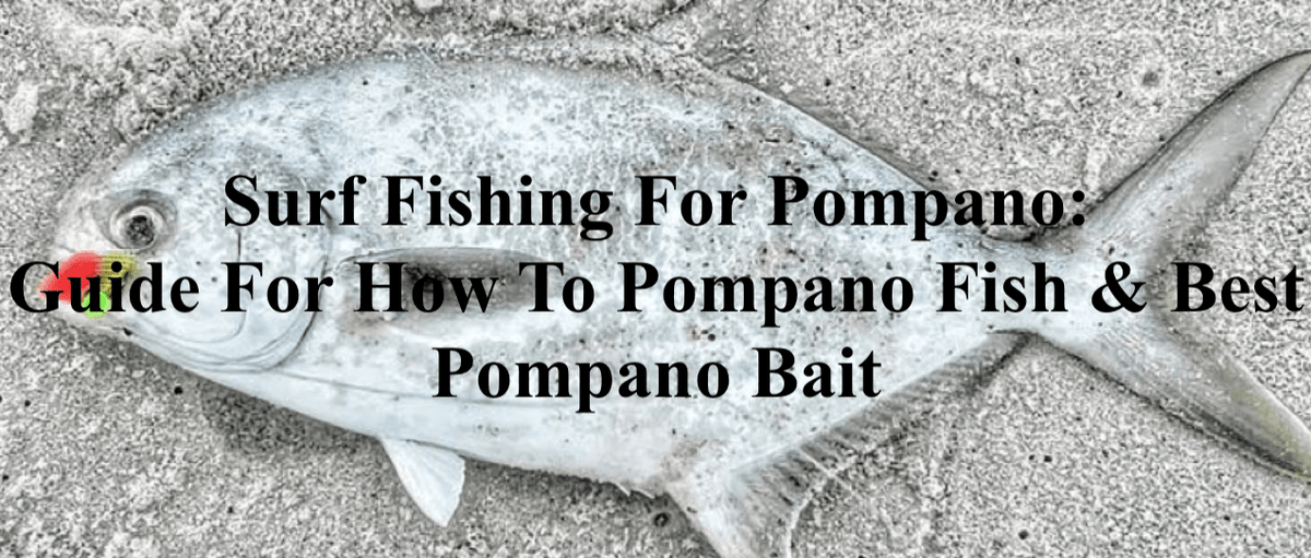 Surf Fishing For Pompano: How To Pompano Fish & Best Pompano Bait– Hunting  and Fishing Depot