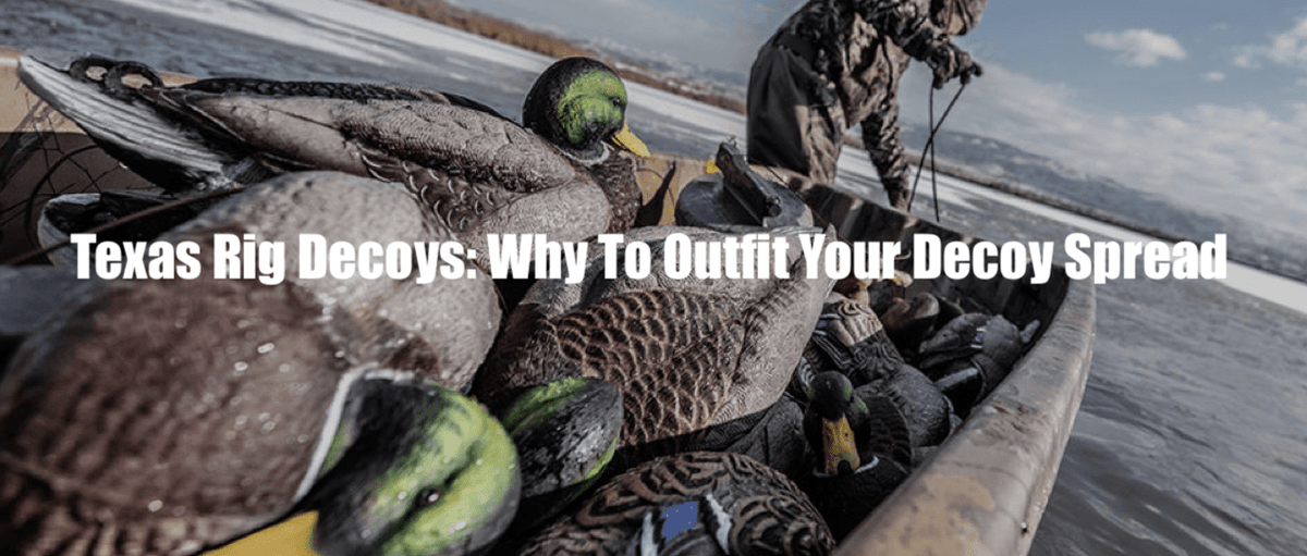 Texas Rig Decoys: Why To Outfit Your Decoy Spread– Hunting and