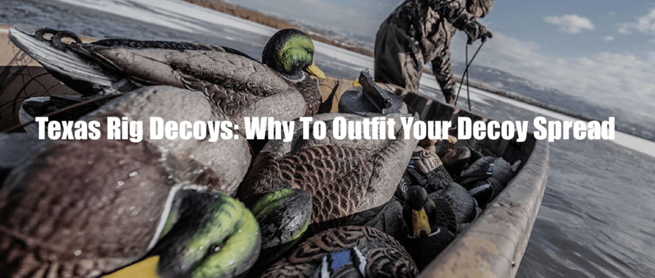 Texas Rig Decoys: Why To Outfit Your Decoy Spread– Hunting and Fishing ...