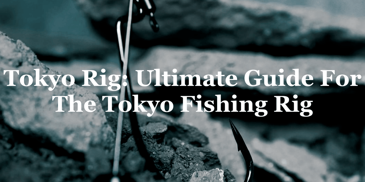 Tokyo Rig: Ultimate Guide For The Tokyo Fishing Rig– Hunting and